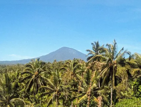 Puri Dajuma Terrace Eco Lodge Spa Bali View from shala Batukaru volcano