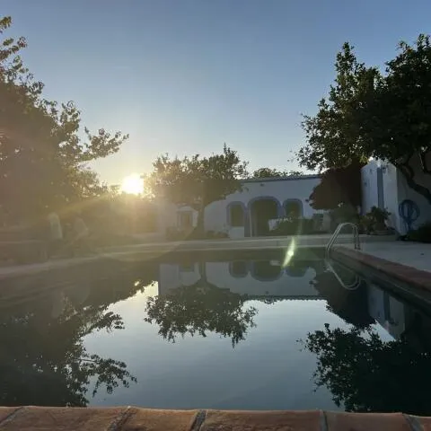 A serene swimming pool reflecting the surrounding trees
