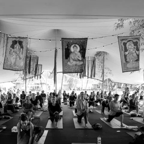 A large group of people sitting together on a wooden deck