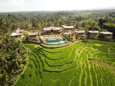 Puri dajuma terrace eco lodge spa bali pool rice field from south
