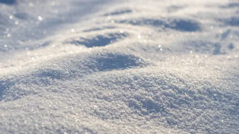 A close-up of sparkling, fresh snow on a sunny day.