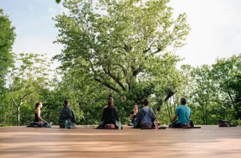 Gruppe von Menschen, die draußen auf einer Holzterrasse umgeben von Bäumen meditieren