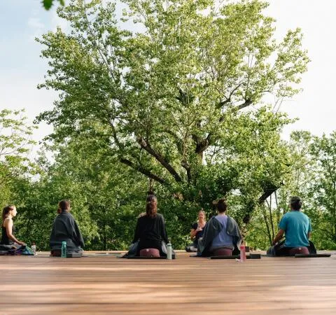 Group of people meditating outdoors on a wooden deck surrounded by trees