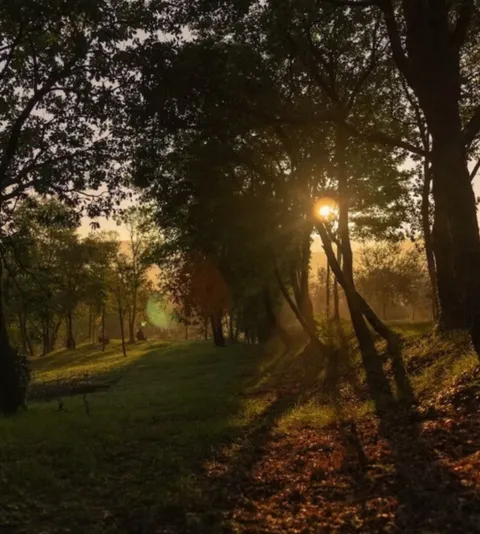 Sunrise Image